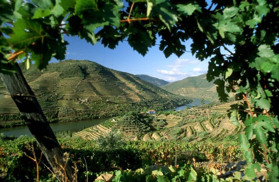 From Porto: Régua to Porto River Cruise with Lunch on Board - The Douro Valley Reset You Can Do in One Day