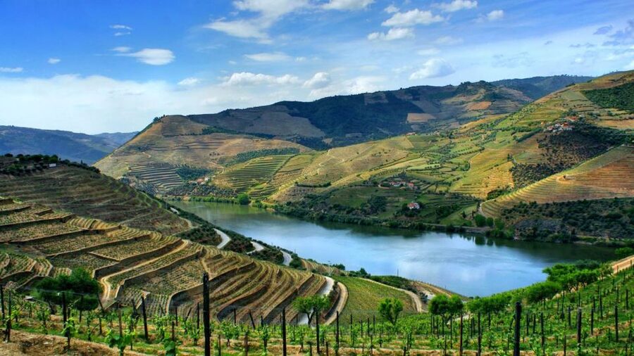From Porto: Régua to Porto River Cruise with Lunch on Board - From Porto to Régua: Scenic Bus Ride, Realistic Timing