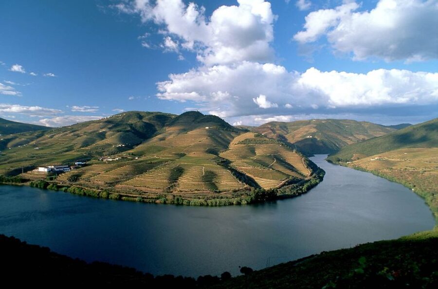 From Porto: Régua to Porto River Cruise with Lunch on Board - Carrapatelo Dam and Crestuma-Lever: The Moment Everything Turns to Wow