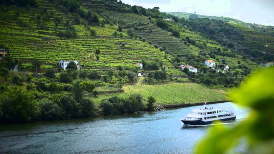 From Porto: Régua to Porto River Cruise with Lunch on Board - Arrival Back in Porto: Drop-Offs and How to Continue Your Day