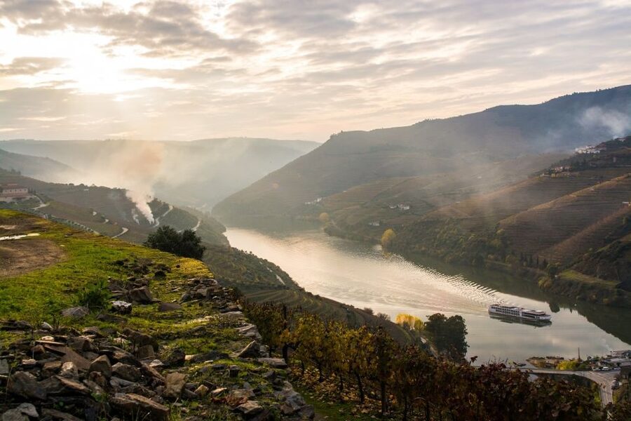From Porto: Régua to Porto River Cruise with Lunch on Board - Who This Douro Cruise Fits Best