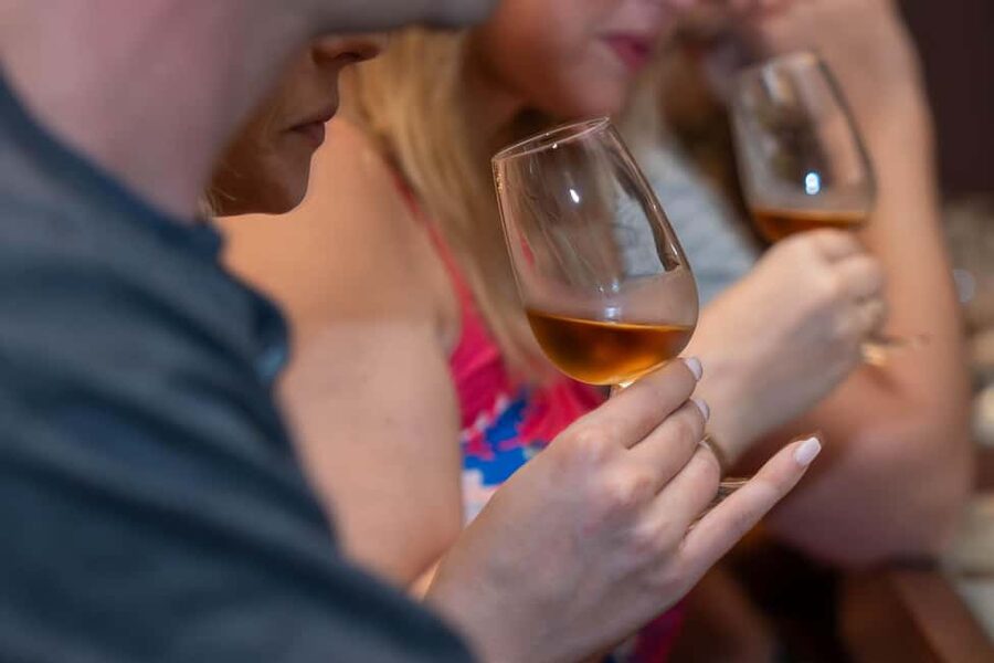 From Porto: Small Group Douro Valley Tour with Wine & Cruise - The Second Winery, More Tasting, and a Better Sense of Douro Wine