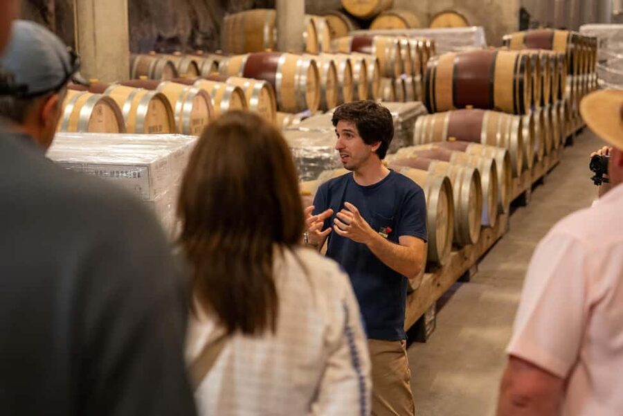 From Porto: Small Group Douro Valley Tour with Wine & Cruise - Price and Value: Is $147 Reasonable?
