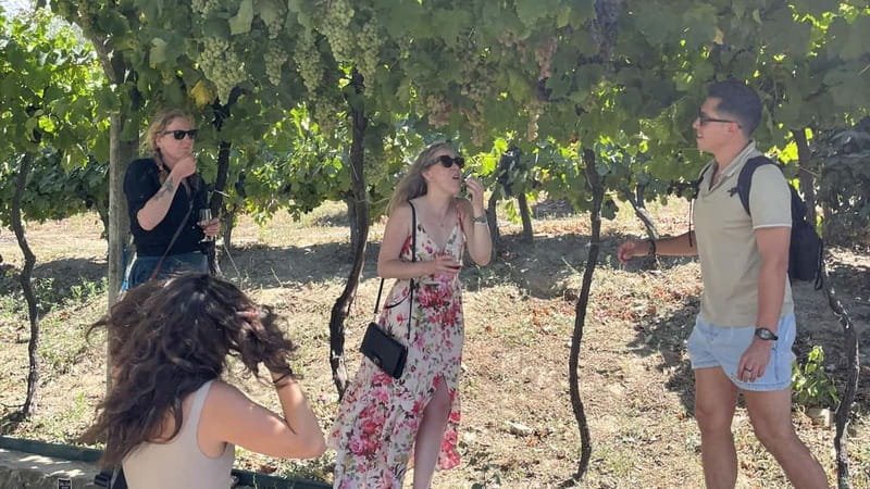 From Porto: Tastings at 2 Wineries, Chef's Lunch & Boat Tour - Pinhão and the Private Boat Cruise: How to See the Douro at Its Best
