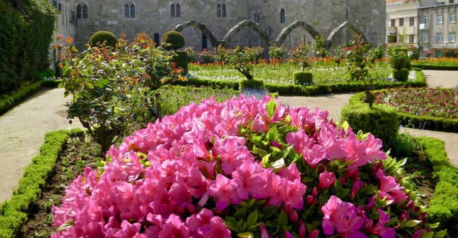 From Porto: Wonders of Braga & Guimaraes Private Day Trip - Price and logistics: $399 per group, and how to judge value