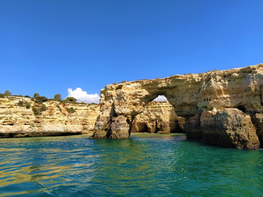 From Vilamoura: 2.5-Hour Benagil Cave and Dolphins Boat Tour - Dolphin watching in the Algarve, and how the crew actually tries to find them