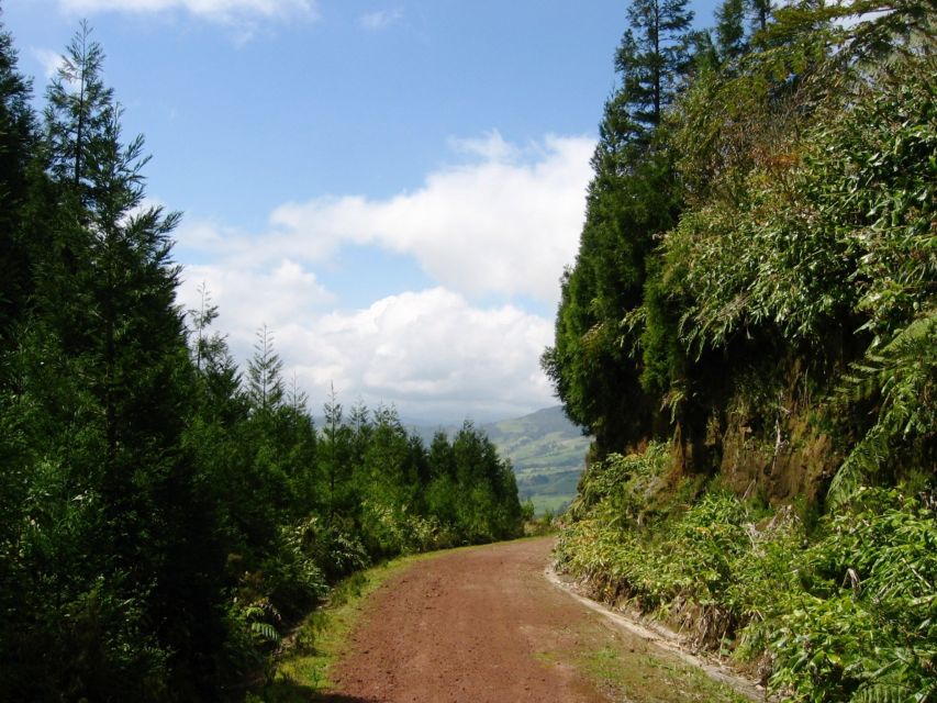 Full-Day 4x4 Nordeste Azores Tour from Ponta Delgada - Nordeste by 4x4: why this part of São Miguel is worth a full day