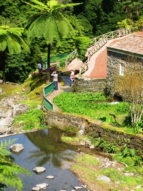 Full-Day 4x4 Nordeste Azores Tour from Ponta Delgada - Pickup in Ponta Delgada, then straight into the rugged northeast