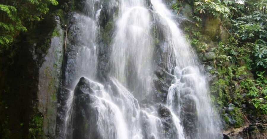 Full-Day 4x4 Nordeste Azores Tour from Ponta Delgada - Pico Bartolomeu: the high point that makes the drive feel big