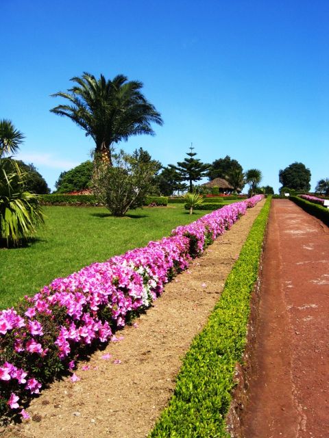 Full-Day 4x4 Nordeste Azores Tour from Ponta Delgada - Tronqueira Mountain Trail: the older, winding road that sells the 4x4 idea