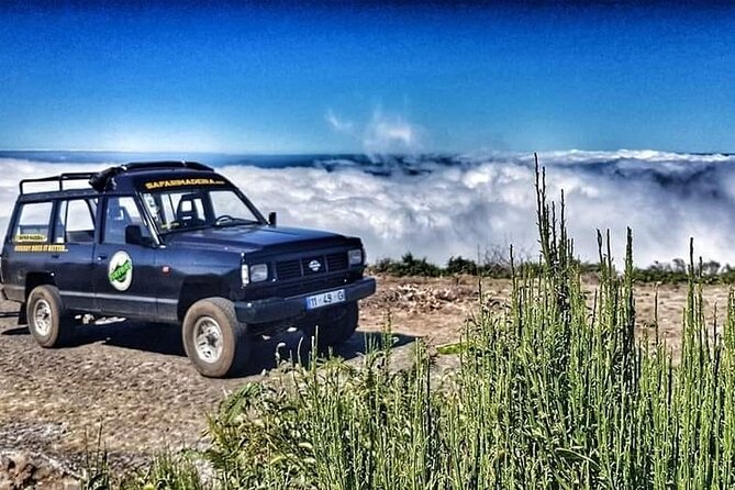 Full Day Jeep Safari East - Pico do Areeiro - Santana - Ponta de são Lourenço - Why This East Madeira Jeep Safari Feels Different Than a Bus Day