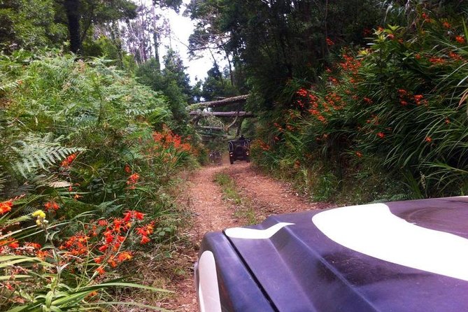 Full-Day Jeep Safari West: Fanal, Porto Moniz, Seixal, Cabo Girão - Funchal pickup, the timing, and why you should dress like it’s two weather days
