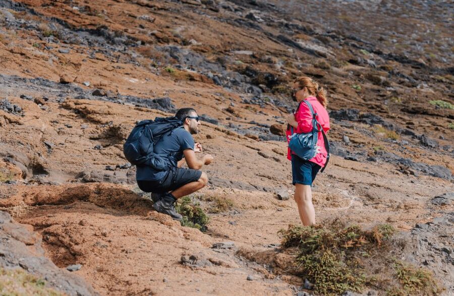 Full Day Ponta de São Lourenço - Natural Reserve - Plants, seabirds, and the Natura 2000 detail that makes the walk stick