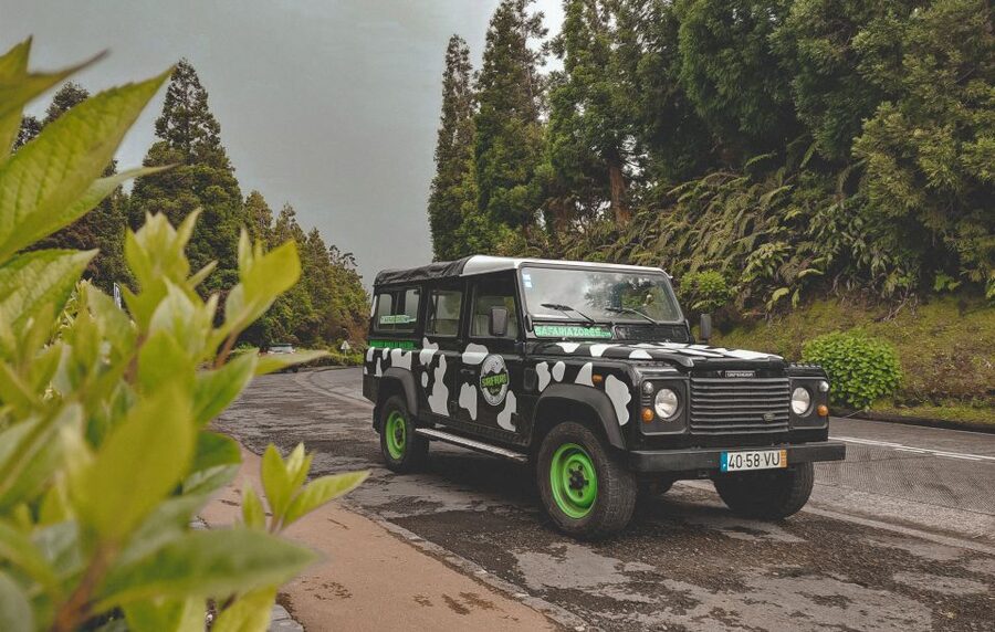 Full Day Sete Cidades + Lagoa do Fogo - Who this tour suits best, and who should think twice