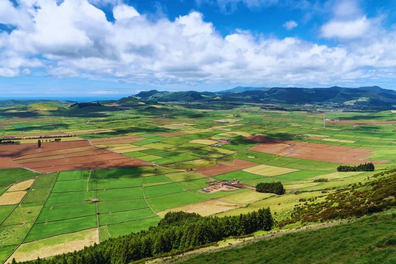 Full Day - The Best of Terceira Island - Biscoitos natural pools, lava rock, and a cool swim option