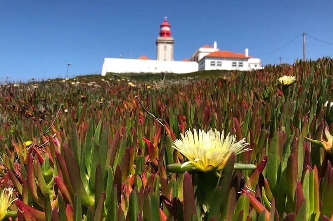 Full Day Tour: Sintra, Pena Palace, Cabo da Roca, Cascais - The guide and pacing: where the day really improves