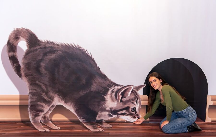 Funchal: 3D Fun Art Museum - Your Exit Moment With Madeira Folklore Dance