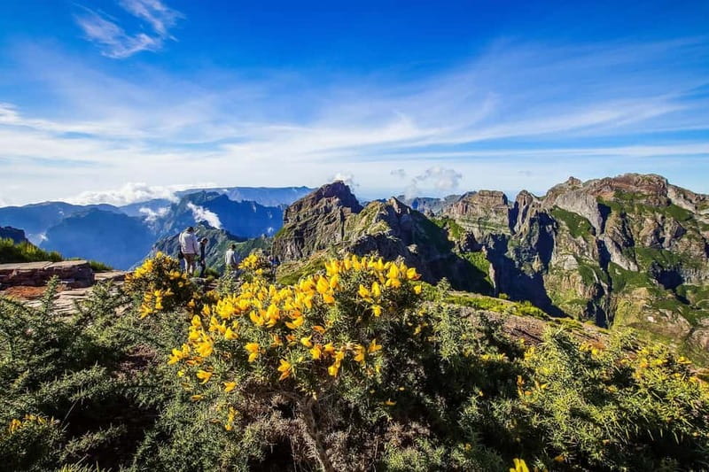 Funchal: 4x4 Jeep Trip to the East and Northeast of Madeira - Key highlights you can count on