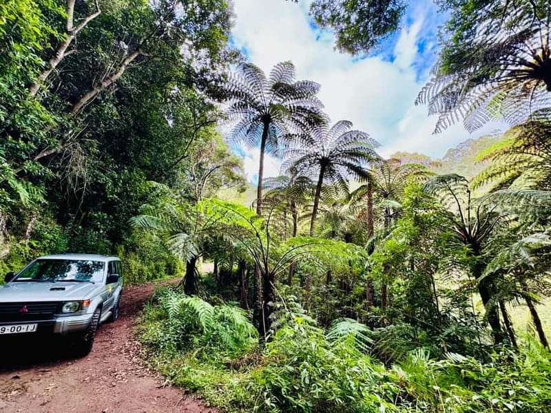 Funchal: 4x4 Jeep Trip to the East and Northeast of Madeira - Why this 4x4 East and Northeast route works so well