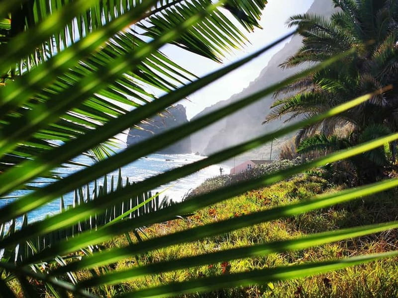Funchal: 4x4 Jeep Trip to the East and Northeast of Madeira - Ribeiro Frio and the Levada walk option you should plan for