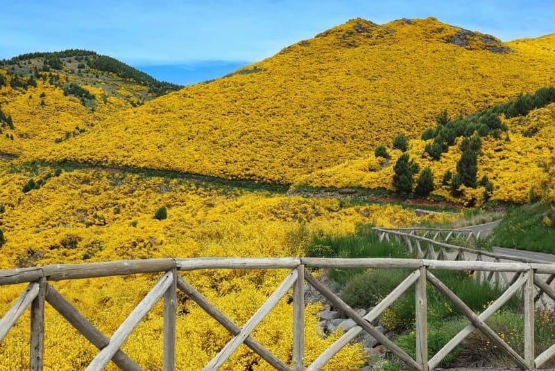 Funchal: 4x4 Jeep Trip to the East and Northeast of Madeira - Lombo Galego Royal path: the off-road stretch that changes the whole day