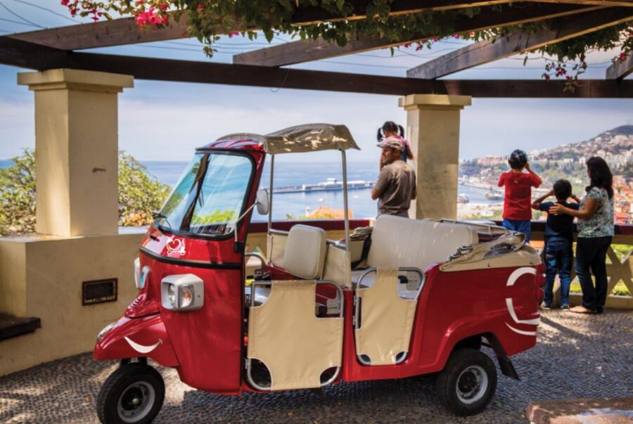 Funchal at Night Private Tour by Tuk Tuk - Narrow Lanes, Photo Stops, and What the Ride Feels Like