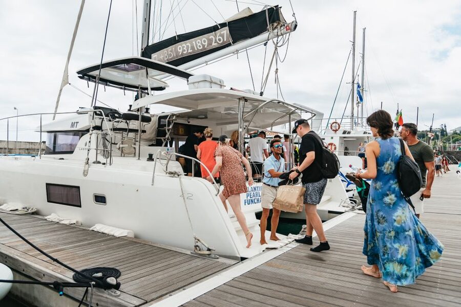 Funchal Bay: Dolphin & Whale Watch Luxury Catamaran Cruise - Key Highlights You Should Actually Care About