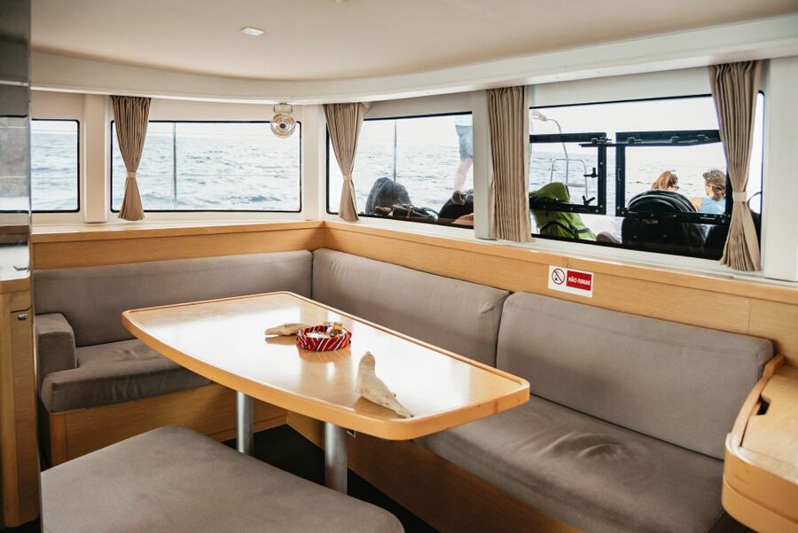 Funchal Bay: Dolphin & Whale Watch Luxury Catamaran Cruise - The Return Sail Back to Funchal: Enjoy the Coast, Not the Rush