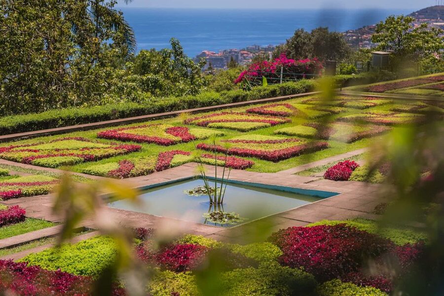 Funchal: Botanical Garden and Old Town Private Tuk-Tuk Tour - Key things to know before you go