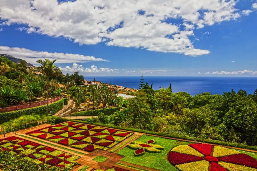 Funchal: Botanical Garden and Old Town Private Tuk-Tuk Tour - A tuk-tuk view of Funchal’s Zona Velha and Bom Sucesso