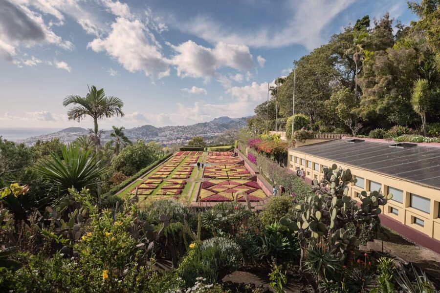 Funchal: Botanical Garden and Old Town Private Tuk-Tuk Tour - The kind of guide that makes or breaks this tour
