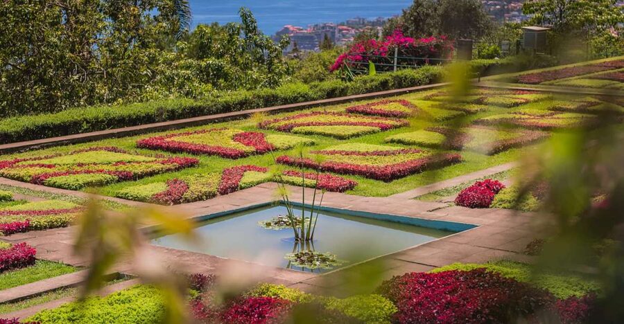 Funchal: Botanical Garden and Old Town Private Tuk-Tuk Tour - How the 2-hour flow actually feels