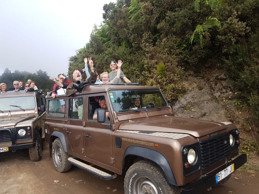 Funchal: Cabo Girão, Wines Tasting and Dolphins Watching - Price and value: what you’re paying for at about $104 per person