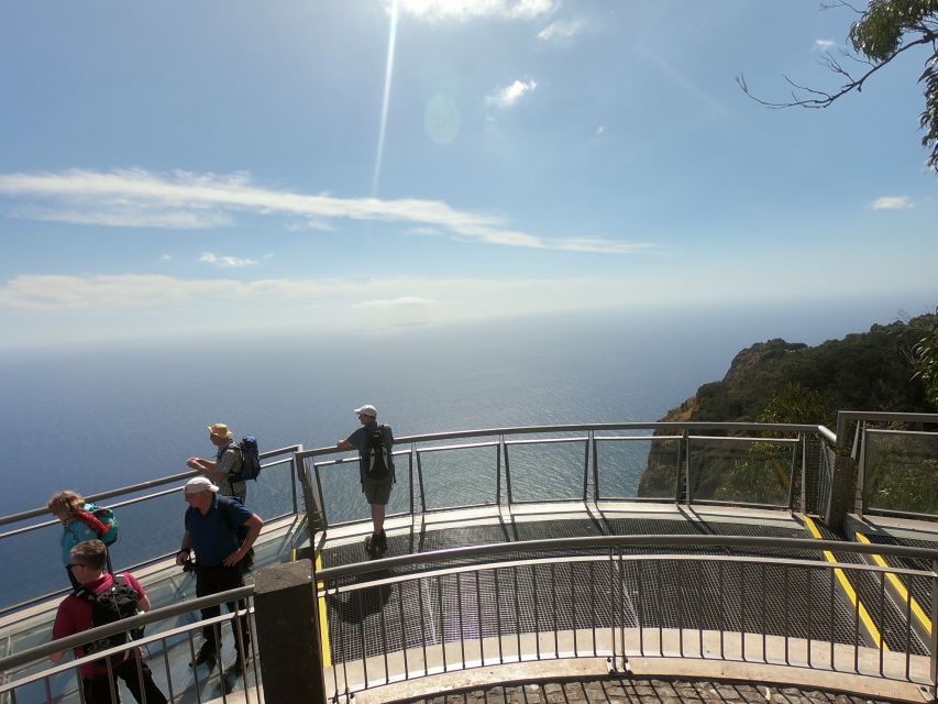 Funchal: Cabo Girão, Wines Tasting and Dolphins Watching - Back to the harbor: timing, free time, and the catamaran connection