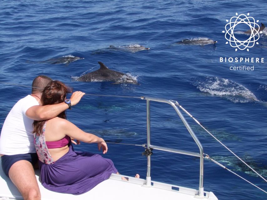 Funchal: Cabo Girão, Wines Tasting and Dolphins Watching - Open-roof 4x4 toward Jardim da Serra, the cherry-growing village