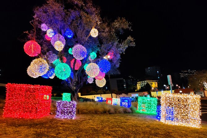 Funchal: Christmas Lights Sightseeing Night Tour - The Real Value Comes From the Guide, Not Just the Lights