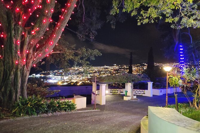 Funchal: Christmas Lights Sightseeing Night Tour - Price and Value: What $41 Buys in a Short Night
