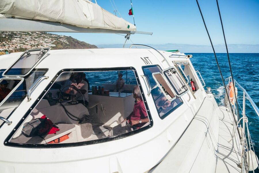 Funchal: Dolphin and Whale Watching by Luxury Catamaran - Key things I’d mark on your mental map