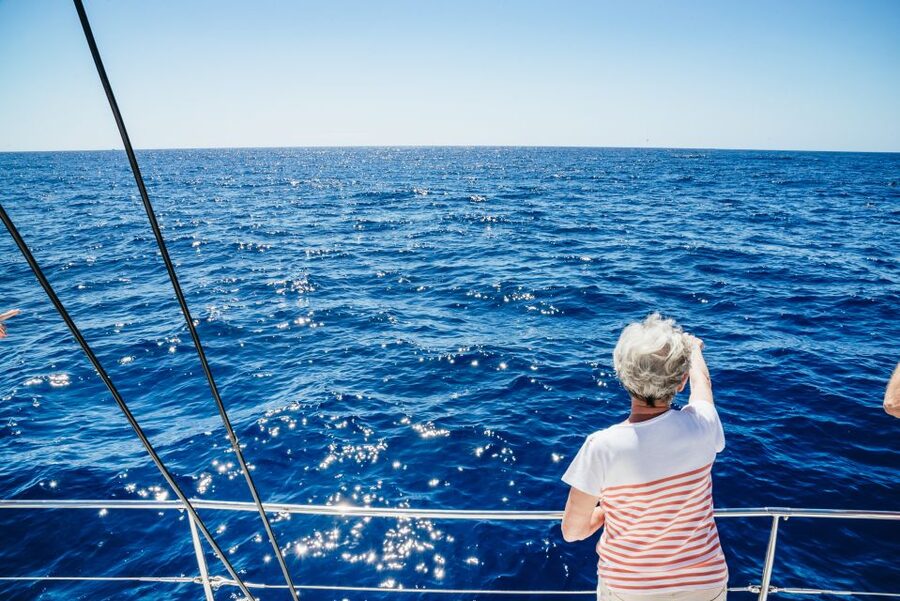 Funchal: Dolphin and Whale Watching by Luxury Catamaran - Cabo Girão: the towering reason this cruise feels more than just boat time