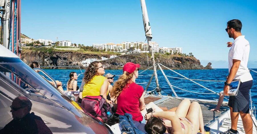 Funchal: Dolphin and Whale Watching by Luxury Catamaran - What the 3-hour route feels like once you’re out of Funchal Marina