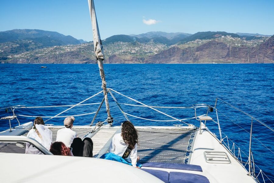 Funchal: Dolphin and Whale Watching by Luxury Catamaran - Comfort that actually helps on a real sea day