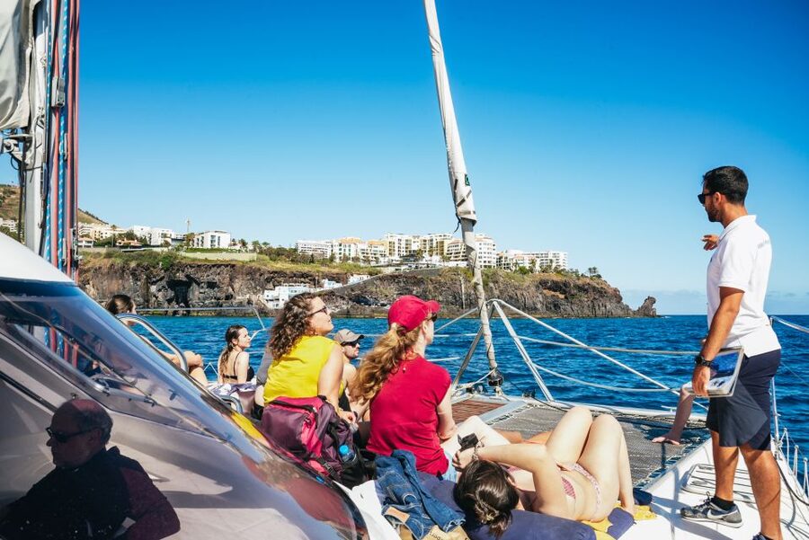 Funchal: Dolphin and Whale Watching by Luxury Catamaran - Wildlife etiquette: how the crew keeps you close without pushing limits