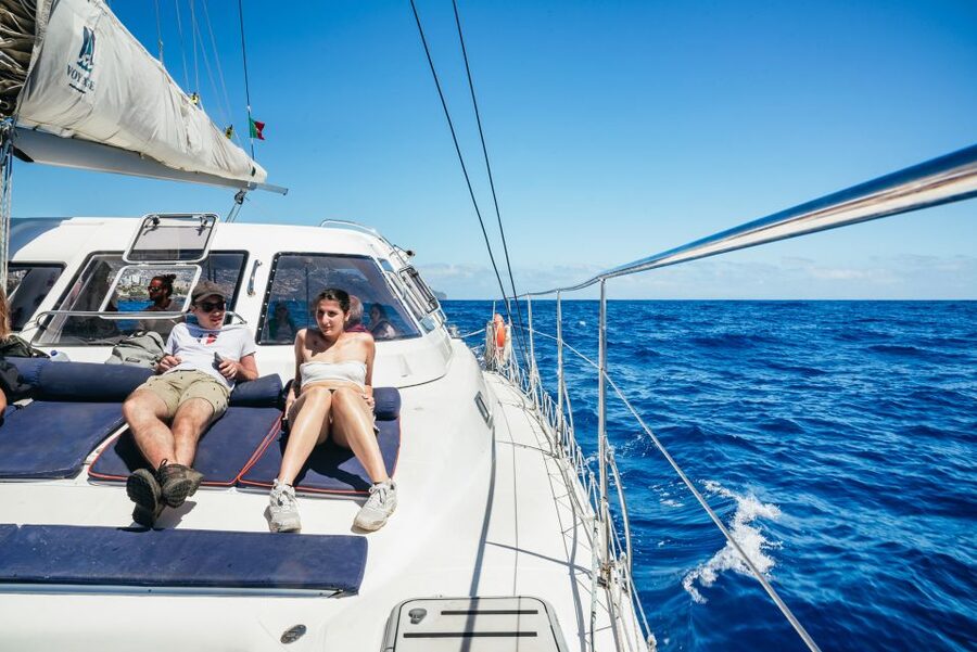 Funchal: Dolphin and Whale Watching by Luxury Catamaran - Price and value: why $47 can feel like a smart deal here