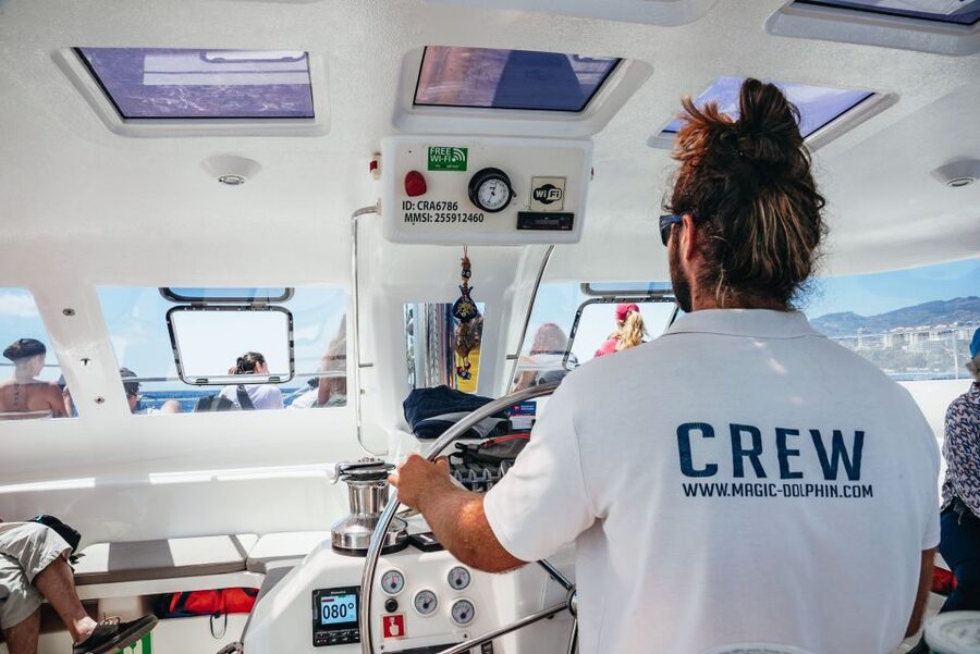 Funchal: Dolphin and Whale Watching by Luxury Catamaran - Who should book this cruise, and when it’s the wrong choice