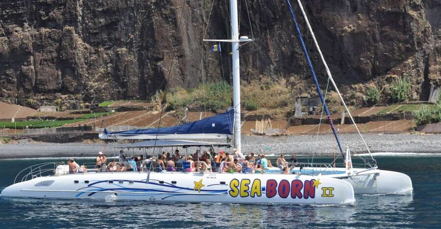 Funchal: Dolphin and Whale Watching Catamaran Cruise - Onboard comfort: why people like the catamaran (and what to do in rougher weather)