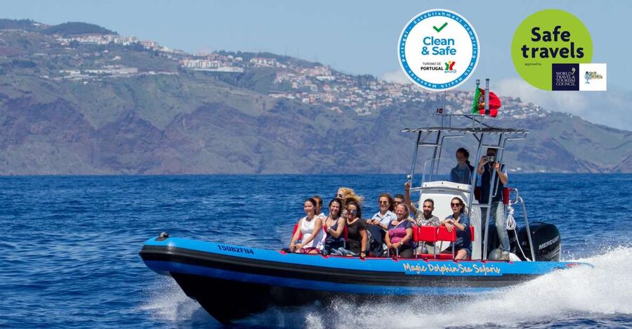 Funchal: Dolphin and Whale Watching Cruise - Key highlights at a glance