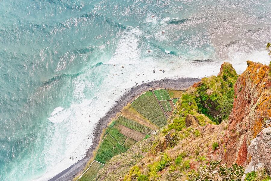 Funchal: Dolphin and Whale Watching Sailing Trip - Key highlights at a glance