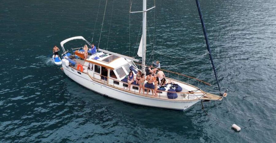 Funchal: Dolphin and Whale Watching Sailing Trip - Dolphins, Whales, and Sea Turtles: The Real Point of This Madeira Sail