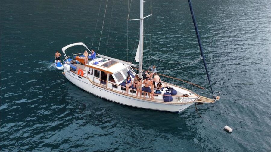 Funchal: Dolphin and Whale Watching Sailing Trip - Getting Out of the Marina: What the 3 Hours Feels Like