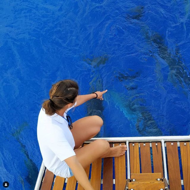 Funchal: Dolphin and Whale Watching Sailing Trip - Cabo Girão Swim Stop: Why This Cliff Area Feels Special